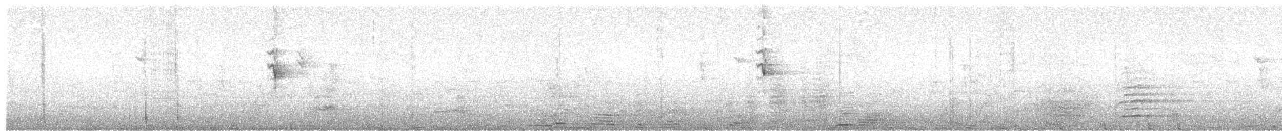 hvitsmykkehonningeter - ML612150433