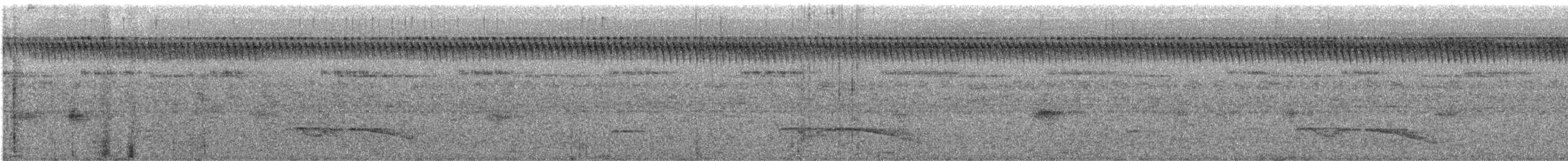 Great Eared-Nightjar - ML612151126