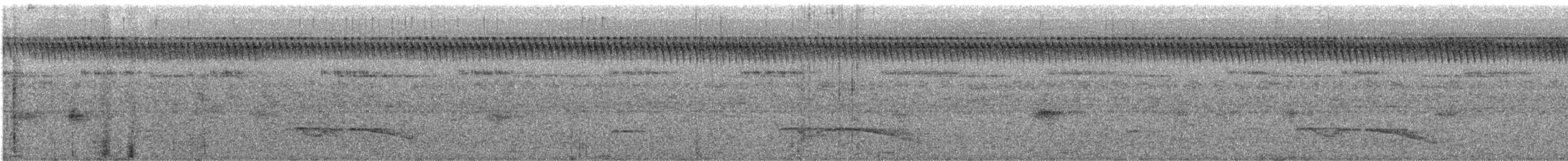 Riesennachtschwalbe - ML612151126