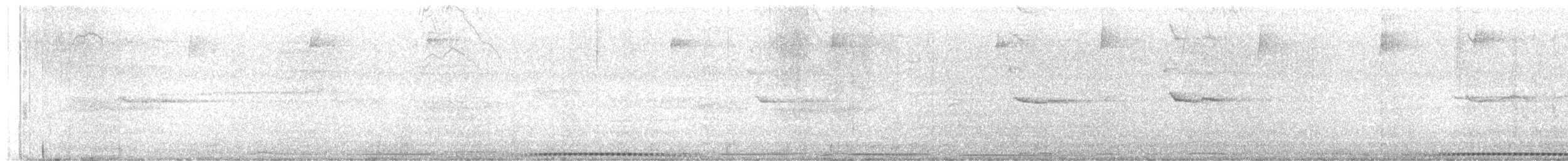 holub šedobřichý - ML612151725