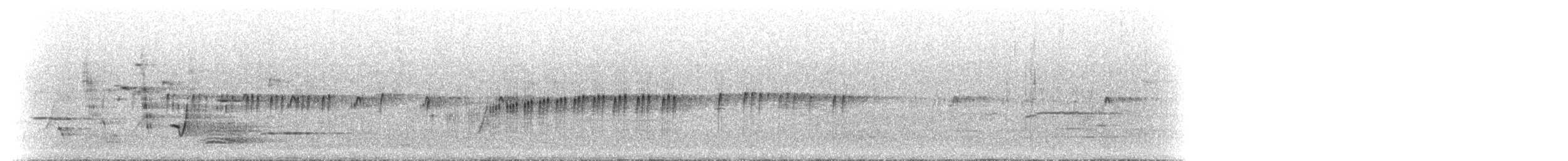 Chorlitejo Frentinegro - ML612153920