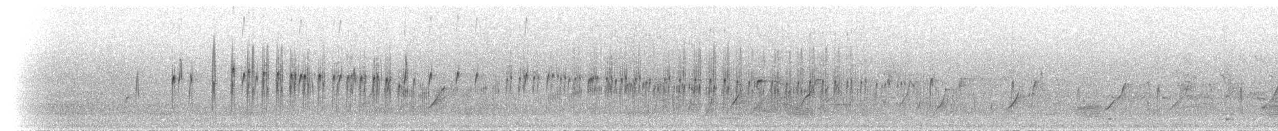 Chorlitejo Frentinegro - ML612153930