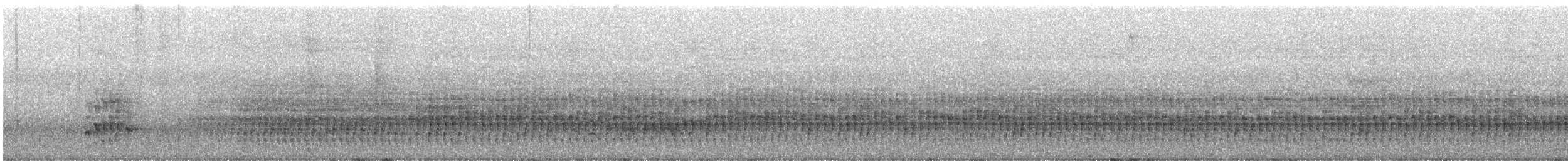 Anabate à sourcils blancs (leucophrus) - ML612154241