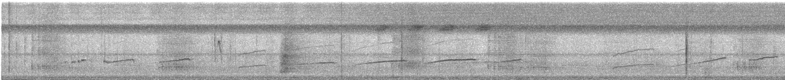 Мурав’янка-куцохвіст велика - ML612154972