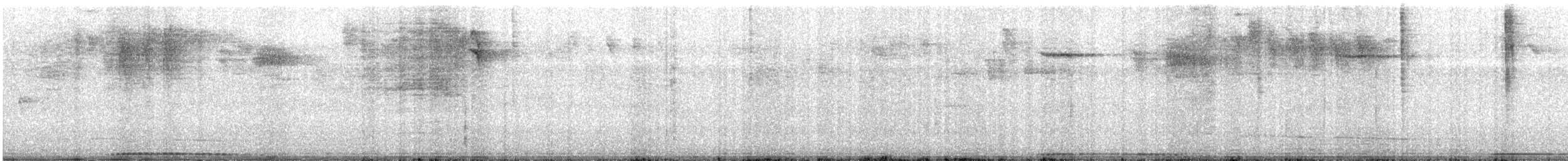 holub šedobřichý - ML612155060
