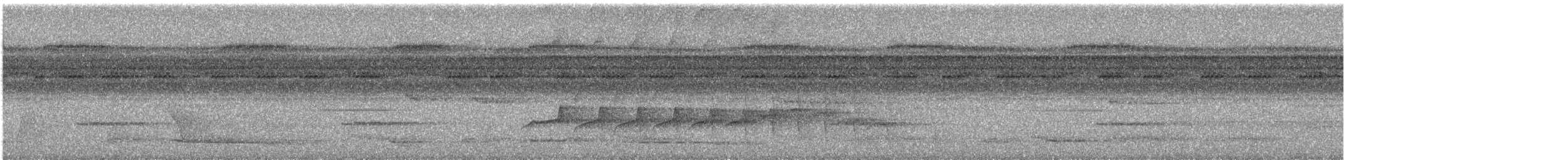 Braunweiß-Ameisenvogel - ML612158973