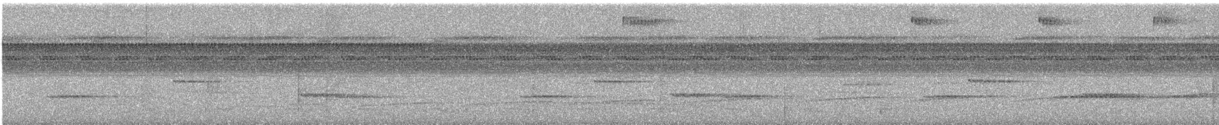 Мурав’янка-куцохвіст велика - ML612158981