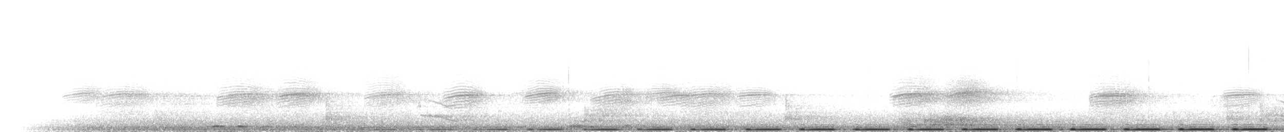 Avustralya Kocaağzı - ML612162001
