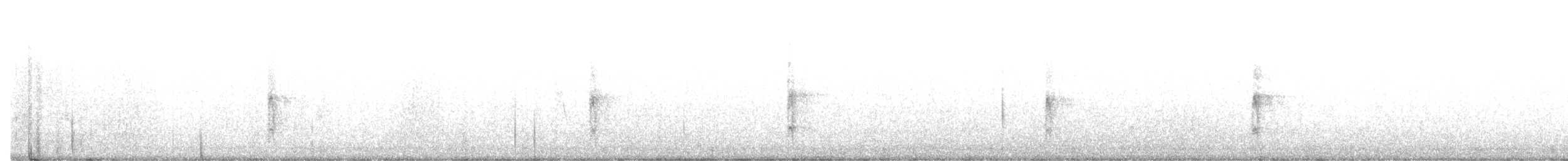Большой пёстрый дятел (numidus/mauritanus) - ML612163041