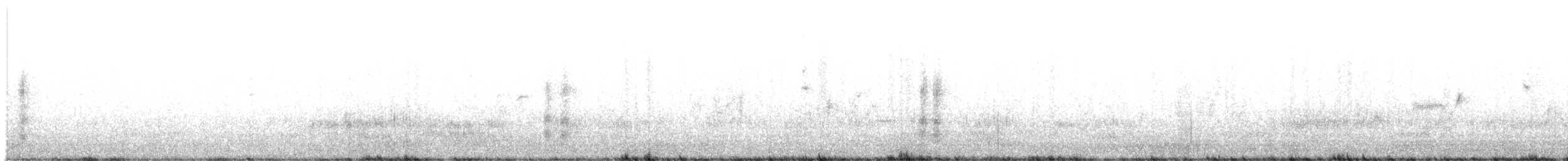 maghrebskjære - ML612163165