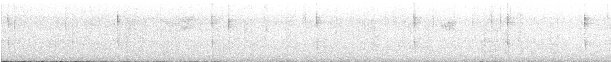 Troglodyte de Baird - ML612166131