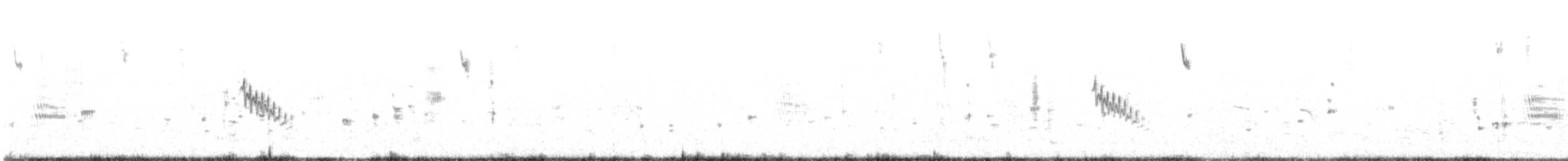 Bisbita Neozelandés (grupo australis) - ML612166648