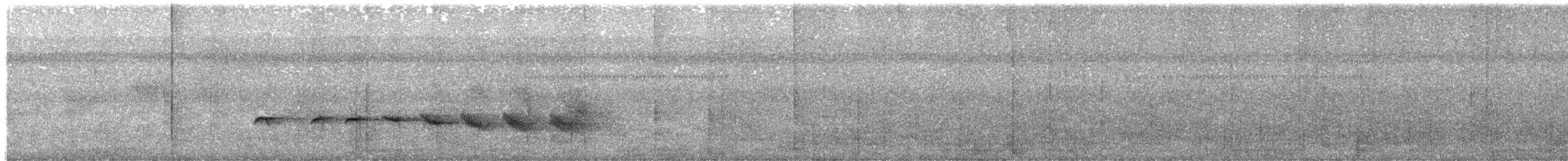 Strichelschulter-Ameisenschnäpper - ML612170871