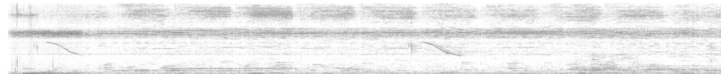 White-tailed Nightjar - ML612171395