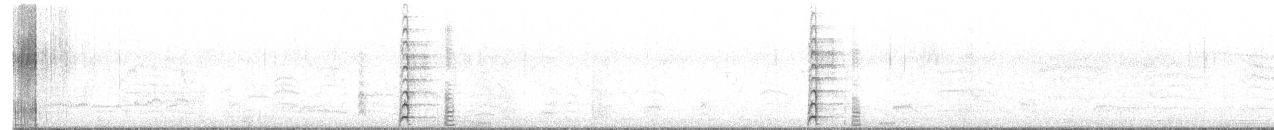 Coscoroba blanc - ML612172529