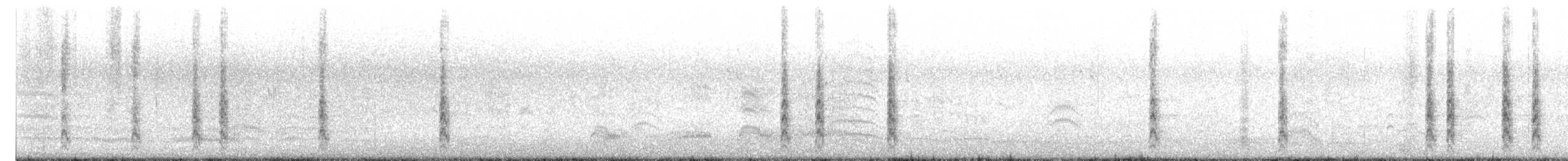 sørhettemåke - ML612172561