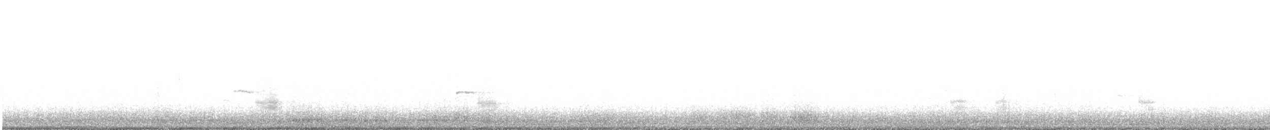 ברווז אפור - ML612173052