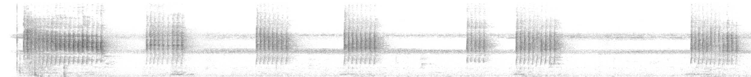 Dreibinden-Ameisenvogel - ML612174492