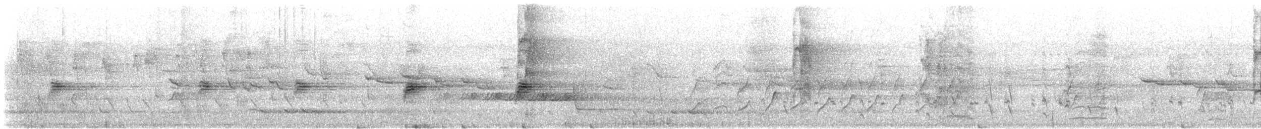 クロオビミツスイ - ML612174509