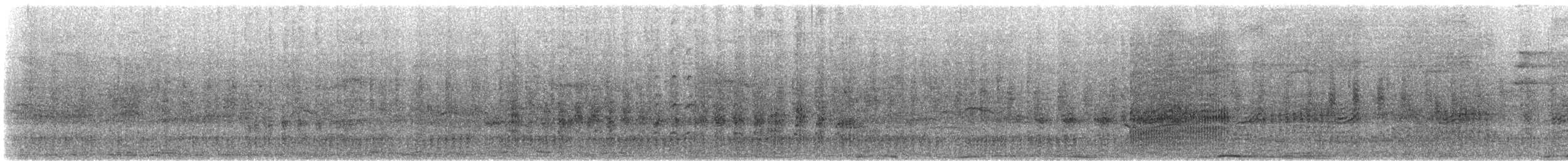 ヒメクロアジサシ - ML612177513