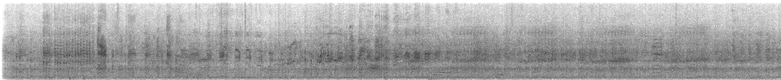 ヒメクロアジサシ - ML612177514