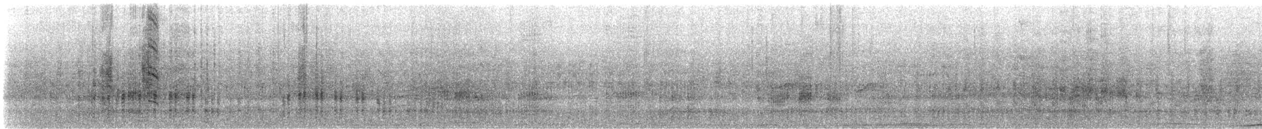 ヒメクロアジサシ - ML612177515