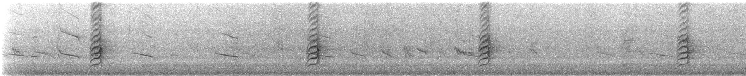 白胸燕鵙 - ML612177519