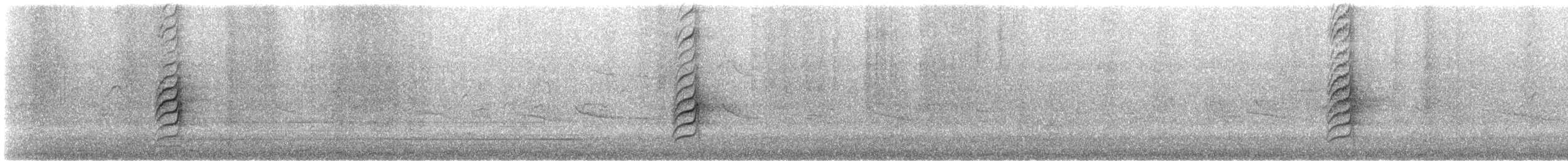 白胸燕鵙 - ML612177520