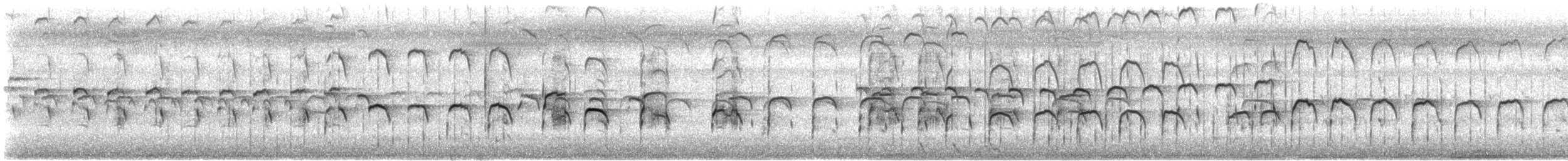 Kammblatthühnchen - ML612177771