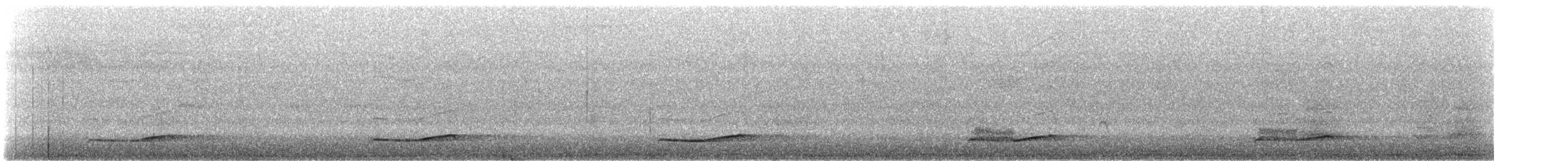 Pazifikkoel (cyanocephalus/subcyanocephalus) - ML612177779