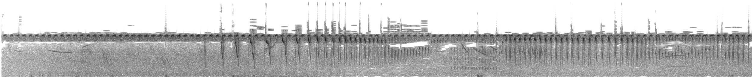 Straight-billed Reedhaunter - ML612178106
