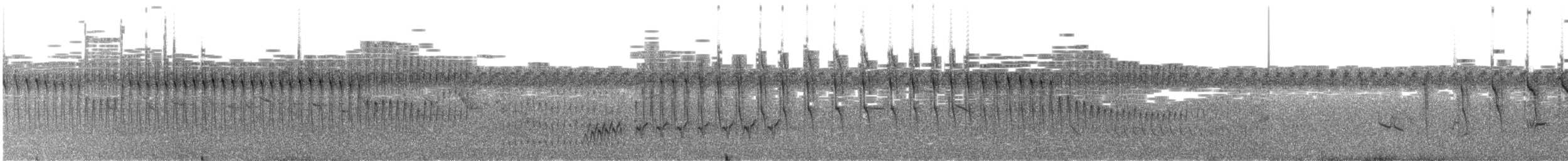 Straight-billed Reedhaunter - ML612178107