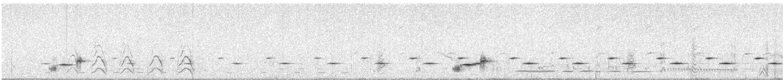 Psophode carillonneur - ML612186658