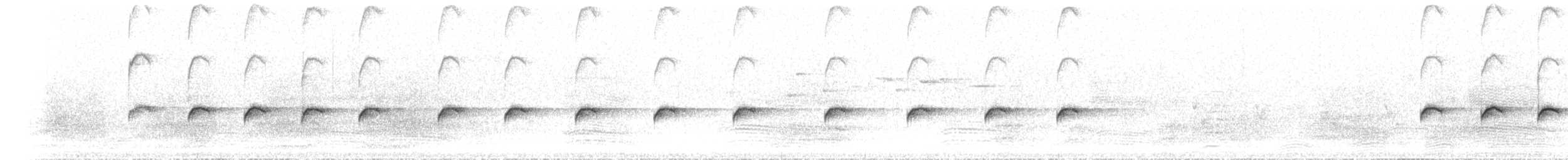 Королаз плямистобокий - ML612186749