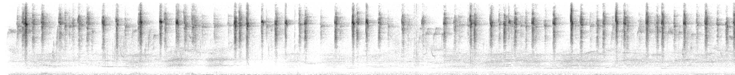 Striated Thornbill - ML612186756