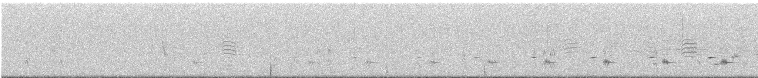 Psophode carillonneur - ML612186998