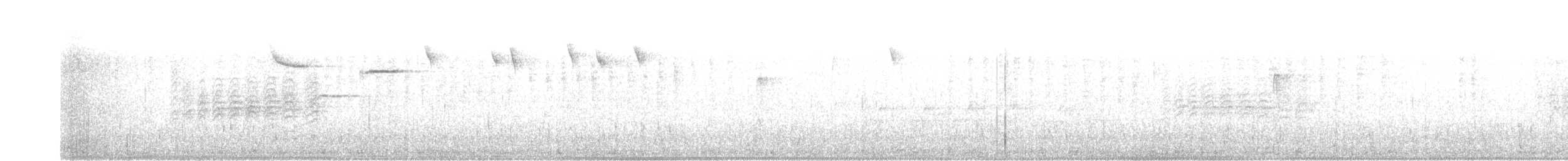 strakapoud osikový - ML612187246