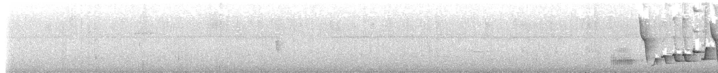 Kara Gerdanlı Çıtkuşu - ML612187903