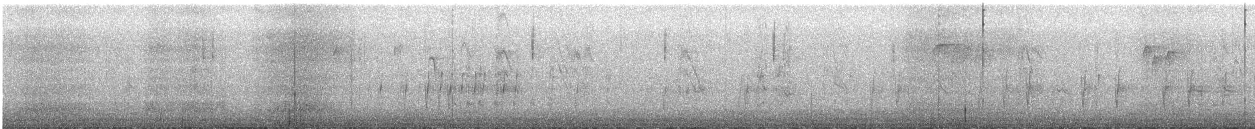 Bec-croisé des sapins (type 4) - ML612188773