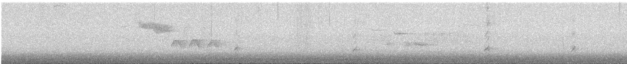 Bewick Çıtkuşu - ML612191211