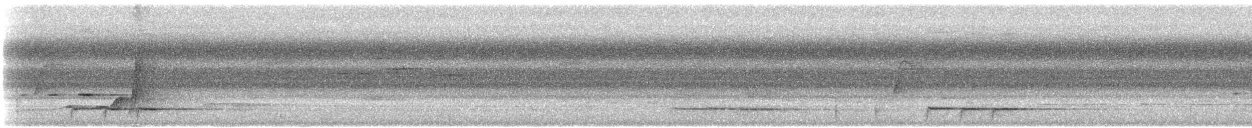 Синещёкая розелла [группа elegans] - ML612191826