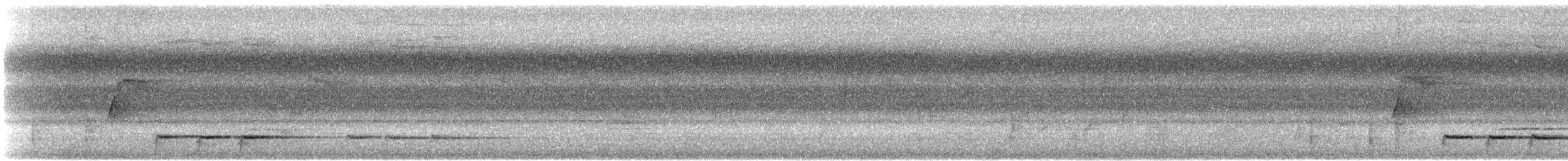 Pennantsittich [elegans-Gruppe] - ML612191827