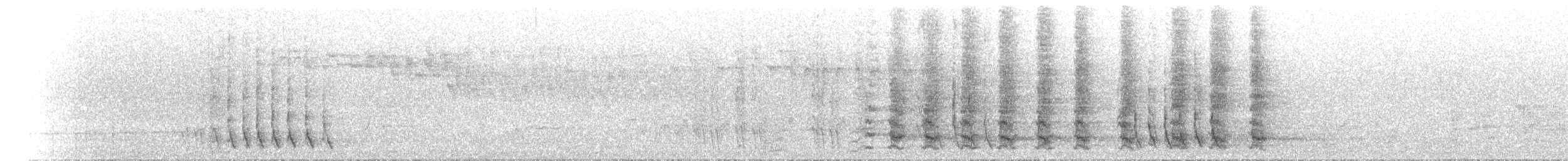 rødflikhonningeter - ML612193220