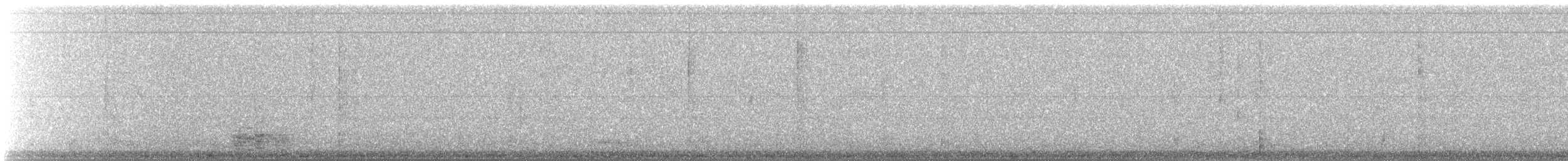 tanımsız kaz (Anser/Branta sp.) - ML612193583