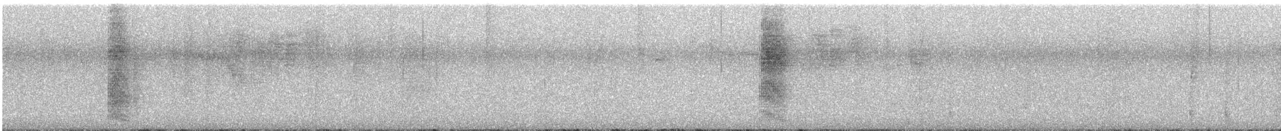 Weißbrust-Spottdrossel - ML612193951