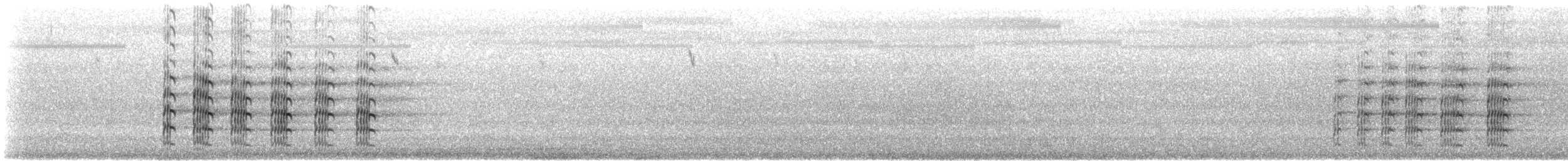 čejka australská (ssp. miles) - ML612197189