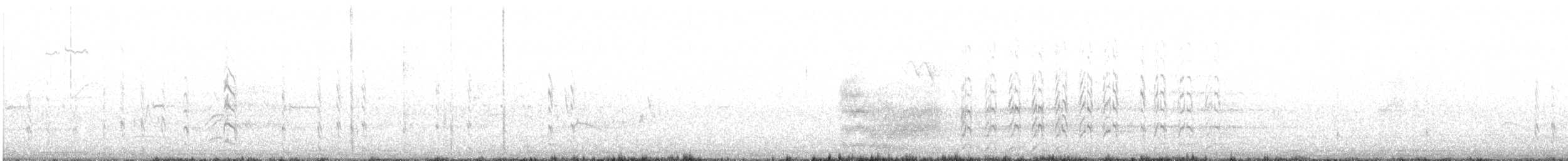 Weißscheitel-Seeschwalbe - ML612197591
