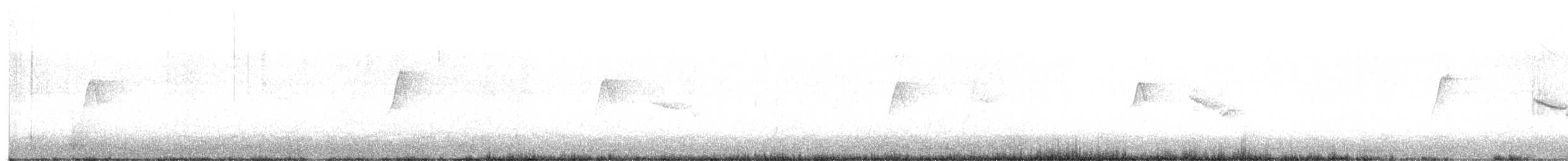 vdovka černobílá - ML612197903