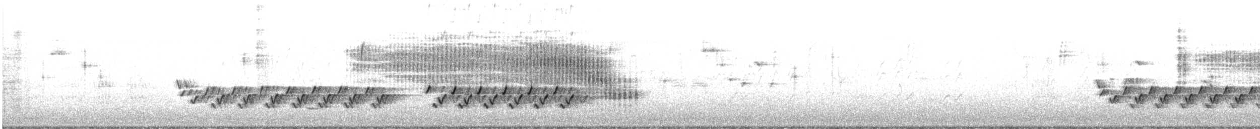 Каролинский крапивник - ML612201648