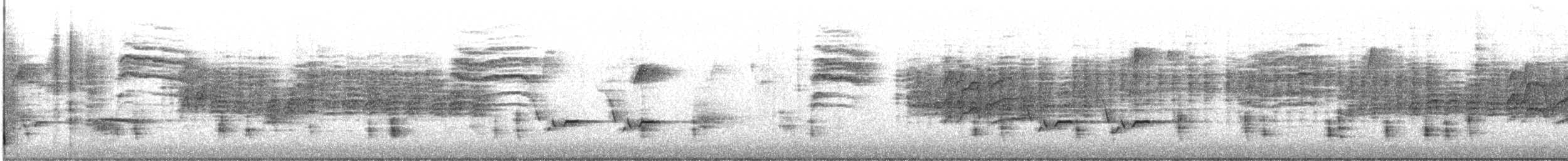Münzevi Bülbül Ardıcı - ML612201833